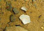 구룡사지-1998년 구룡사지 수습유물 썸네일 이미지