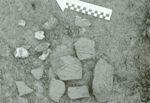 산성동 유적-빗살무늬토기 썸네일 이미지