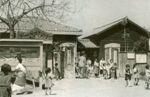 어린이집-1960년대초 청주시립유치원(현 중앙공원 자리) 썸네일 이미지