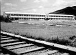 우암초등학교-1966년 썸네일 이미지