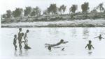 1970년대 초 여름에 무심천에서 수영하는 아이들 썸네일 이미지