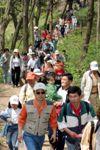 청주 상당산성-산성걷기대회 썸네일 이미지