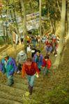 우암산 걷기대회 썸네일 이미지