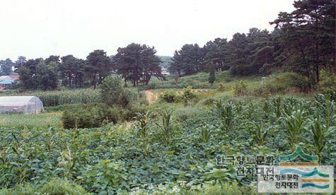 대표시청각 이미지