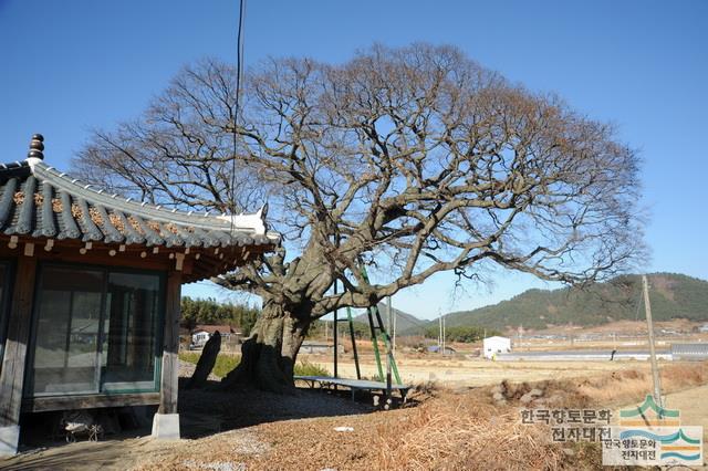 대표시청각 이미지