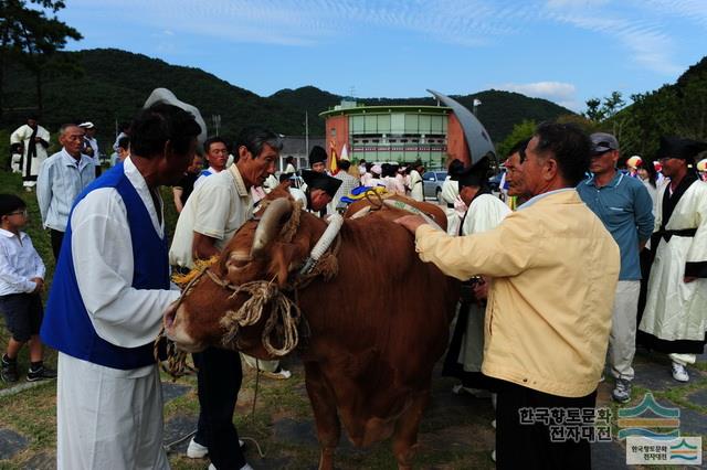 대표시청각 이미지