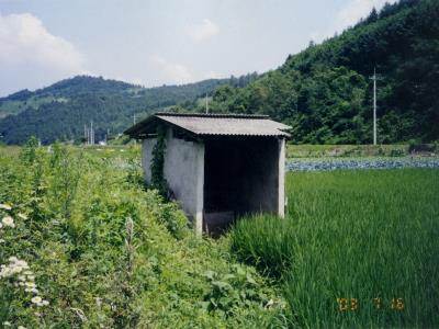 선고2리 서낭당 썸네일 이미지