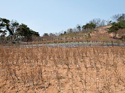 갈산리 유물 산포지 썸네일 이미지