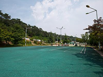 부춘산 체육공원 족구장 썸네일 이미지