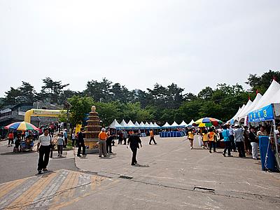 팔봉산 감자캐기 체험축제장 썸네일 이미지