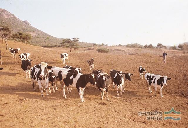 대표시청각 이미지