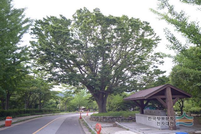 대표시청각 이미지