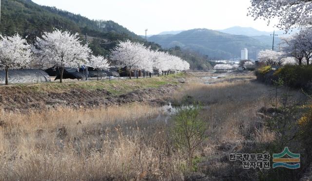 대표시청각 이미지