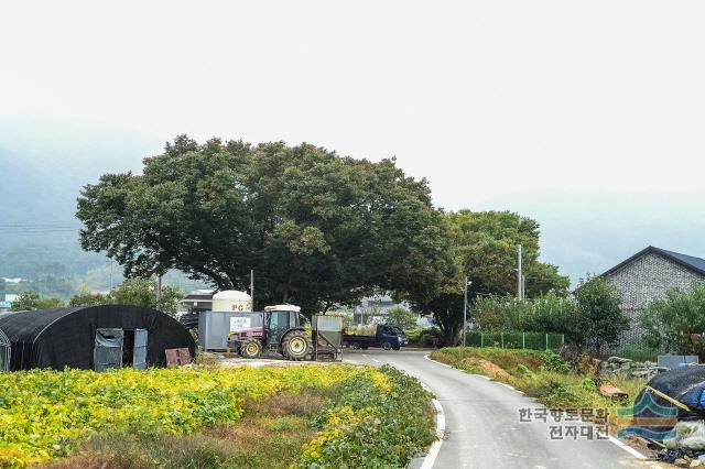 대표시청각 이미지